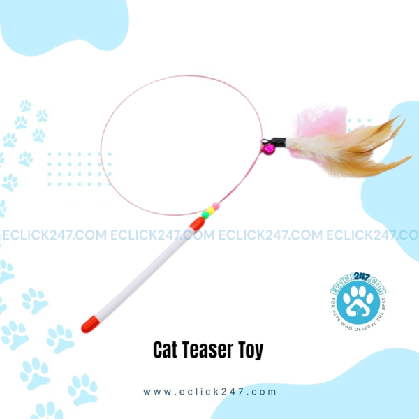 Cat Teaser Toy
