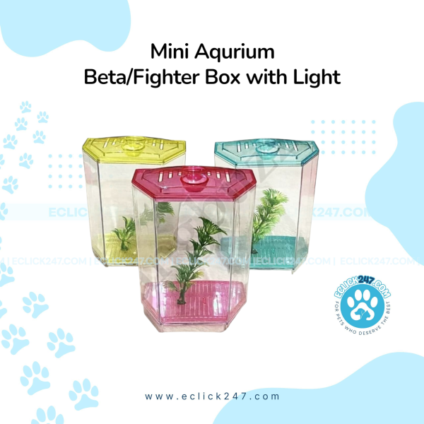 Aquarium Betta/Fighter Fish Bowl with Light